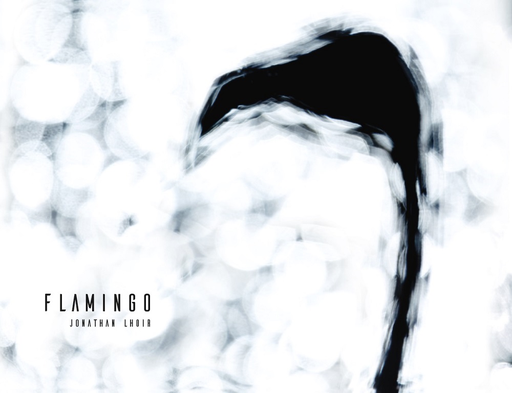 Couverture du livre Flamingo