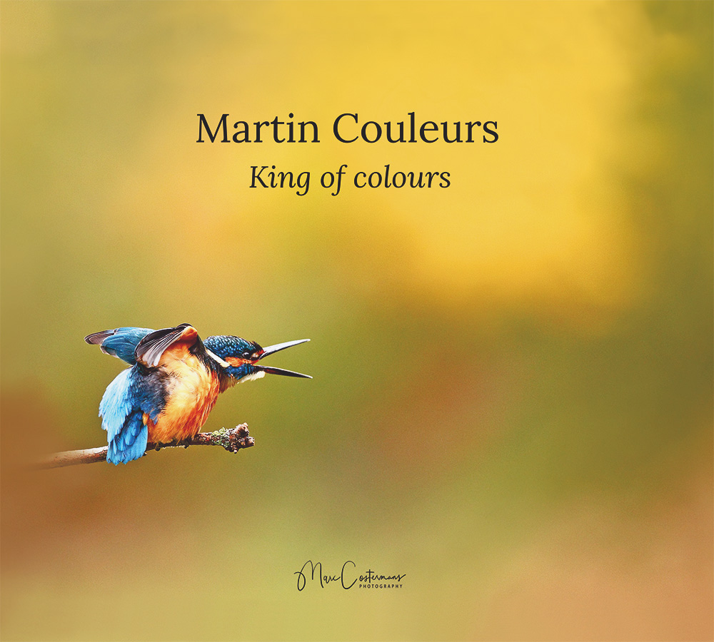 Couverture du livre Martin Couleurs